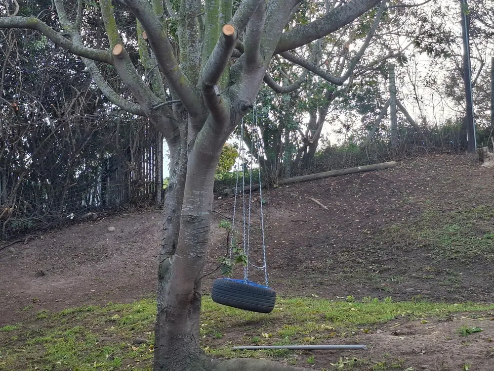Pruned tree and cleared ground after Cut and Clear service