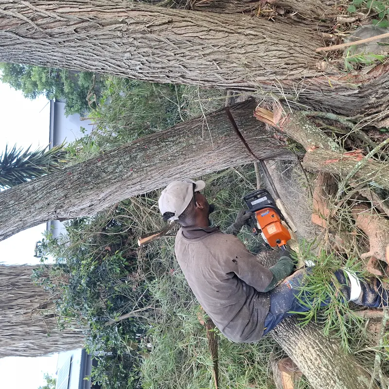 Crew member cutting a fallen tree trunk with a chainsaw