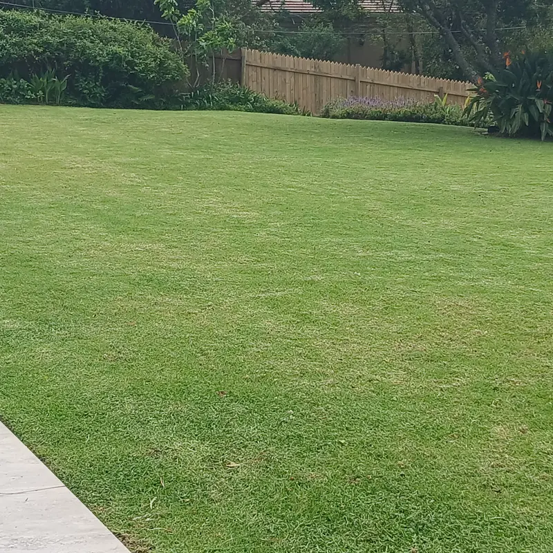 A neatly maintained lawn after a maintenance visit